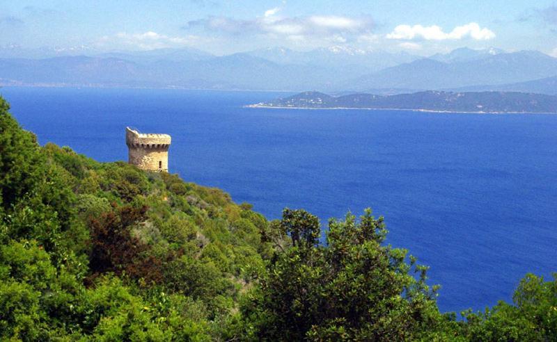 Maisonnette Paesolu Porticcio Casa vacanze
